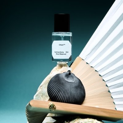 백옥 쉘 방향제_릴스