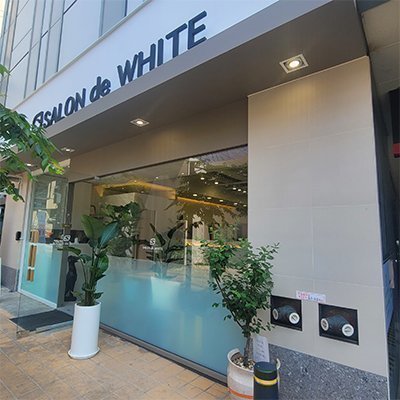 살롱드화이트 양재점