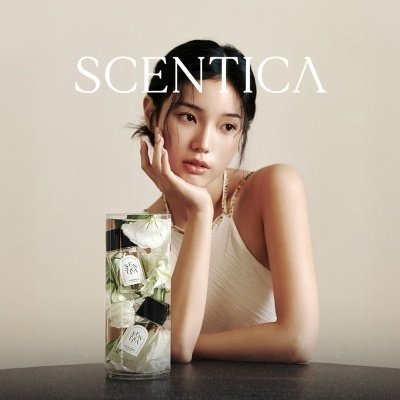 센티카 현대백화점 팝업