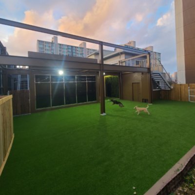 [강서] 아몽 애견토탈케어 유치원