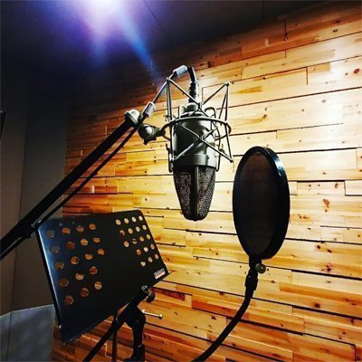 보이스테크닉 컴퍼니