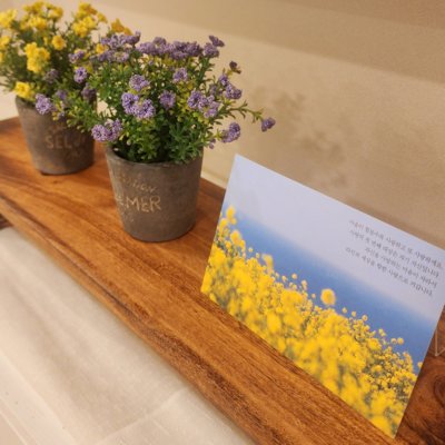 [대전] BT 월평점