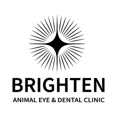[양천] 브라이튼 안과치과 동물병원