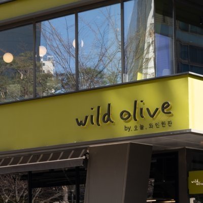 와일드올리브