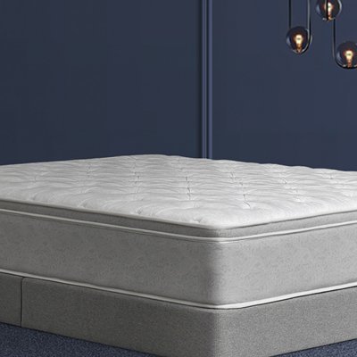 [광명] 알레르망 스핑크스 광명점