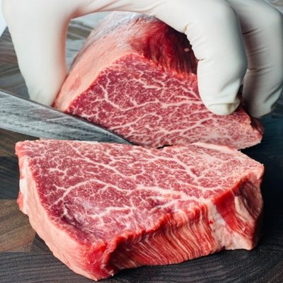 [송한우] 안심샤토브리앙_릴스