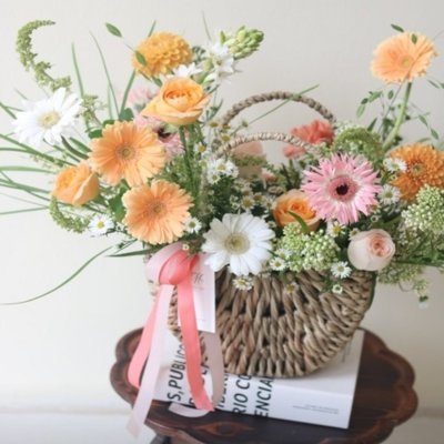 [강릉] 모카트리