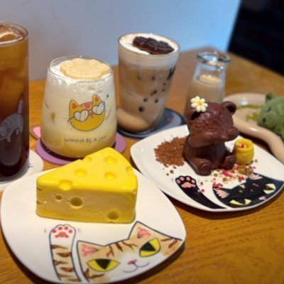 [건대] 냥토피아 카페앤샵_릴스