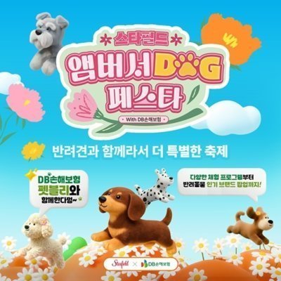 [수원] 앰버서DOG x DB손해보험