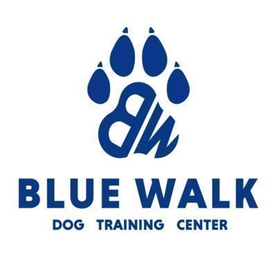 [송파] 블루워크