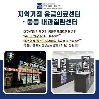 [대구] 본동물메디컬센터 24시(B)