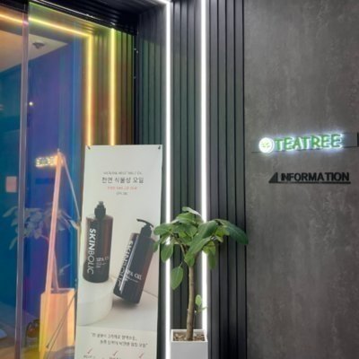 [대구] 티트리스파_릴스