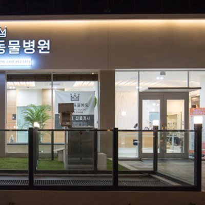 [일산] 일산클래식동물병원