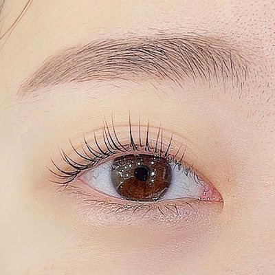 [강서] 아유레디