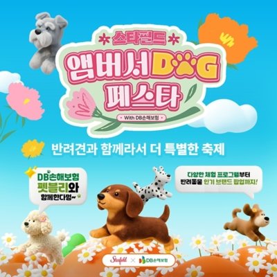 [기자단] DB손해보험 앰버서DOG