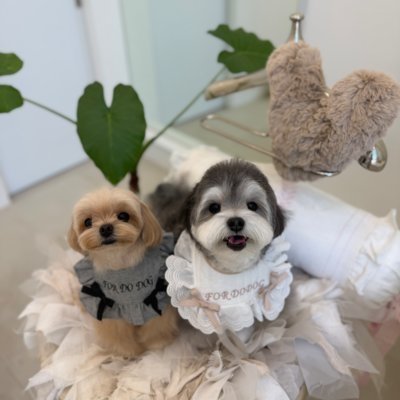 [기자단] 몽구구