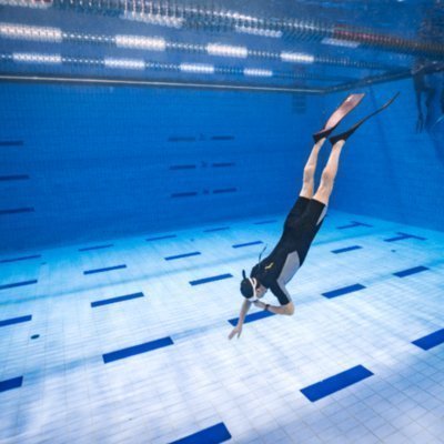 [성남] 위퐁다이버스