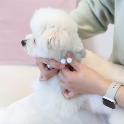 코코링 넥쿨러_릴스