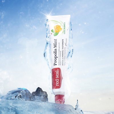 코스트코 프로폴리스민트 치약