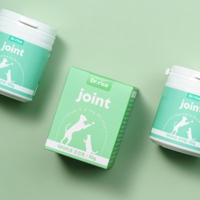 조인트 강아지 관절영양제