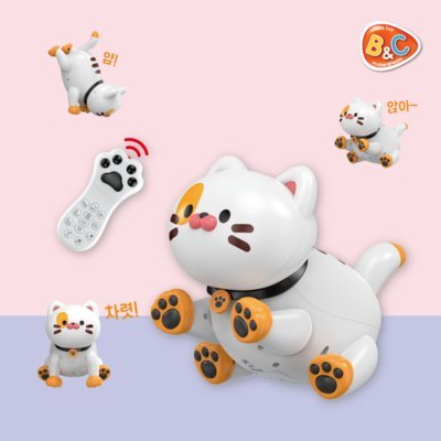 [비앤씨] 스마트냥 또또