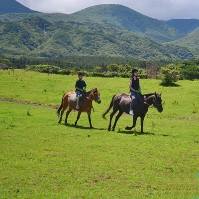 [제주] 어승생승마장