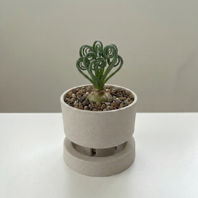 [행운팟] 친환경 그래버 화분