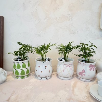 [대전]도나트앤코성인원데이클래스_릴스