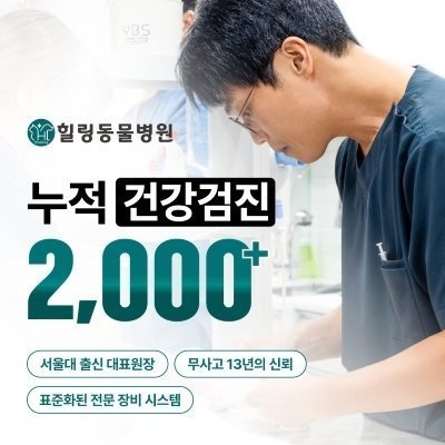 힐링동물병원_릴스