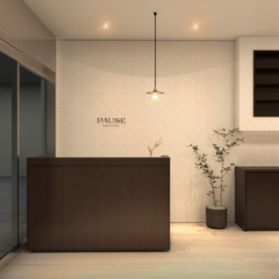 파우제 다미 디자이너