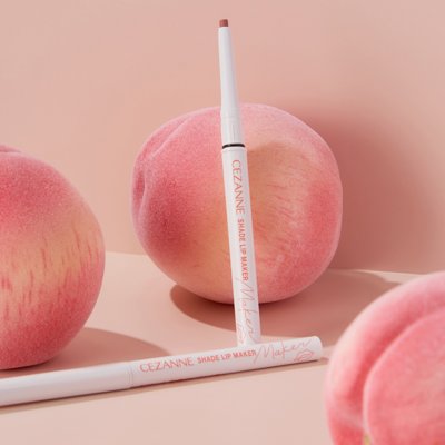 쉐이드 립 메이커