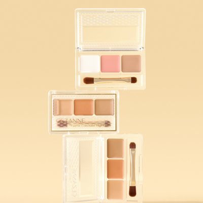 팔레트 컨실러 하이커버