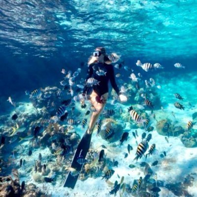 [제주] 제주스쿠버스쿨 스쿠버다이빙