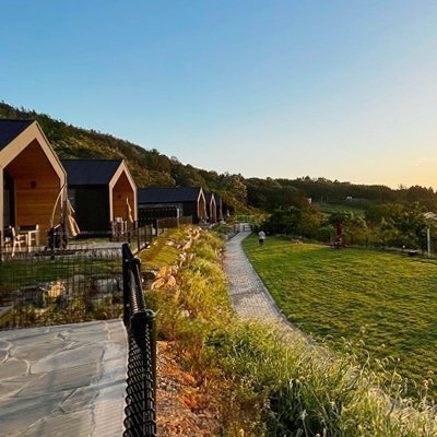 [무안] 굿나잇도그