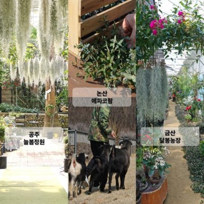 치유농장 체험