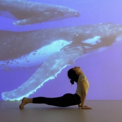 [목동] 마이요가 목동