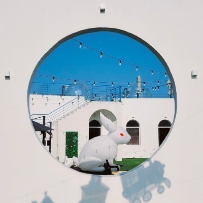 [강원] 테샤로바