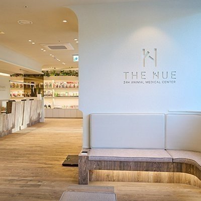 [부산] 24시 더휴동물의료센터