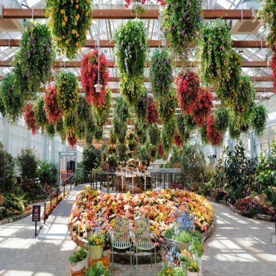 [가평] 가평베고니아새정원