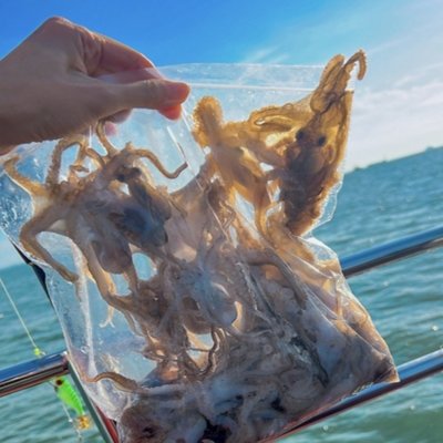 [인천] 배낚시 해광유선_릴스