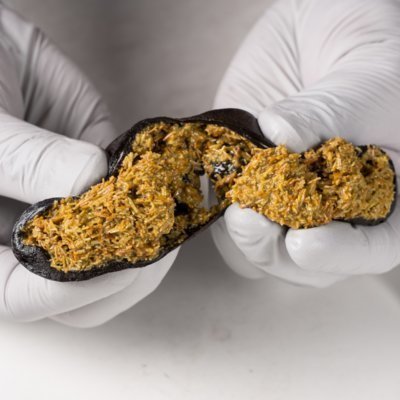 [기자단] 띵킹컵