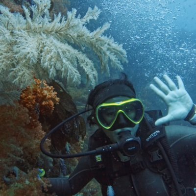 [제주] 스쿠비다이브