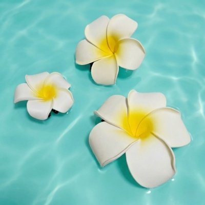 [모아다락]플루메리아꽃 헤어핀 SET