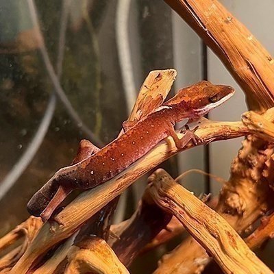 [기자단] 와우펫앤쥬 대구점