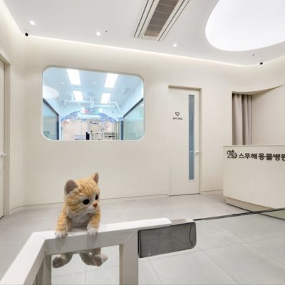 [동작] 스무해동물병원