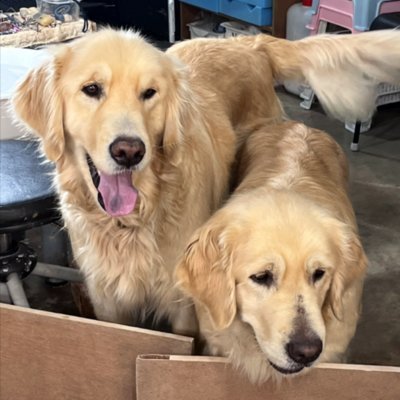 [제주] 단송레서피