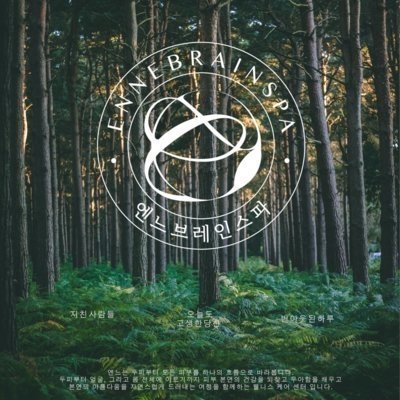 [세종]  엔느브레인스파