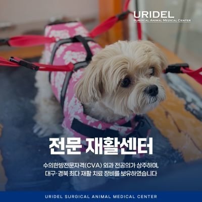 [대구] 우리들외과동물의료센터