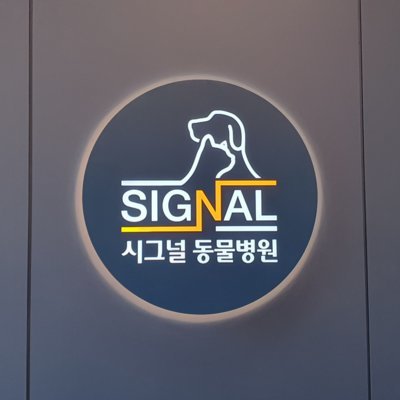 [영등포] 시그널동물병원_릴스