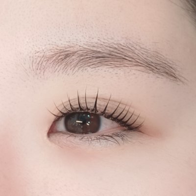 [대전] 나비브로우